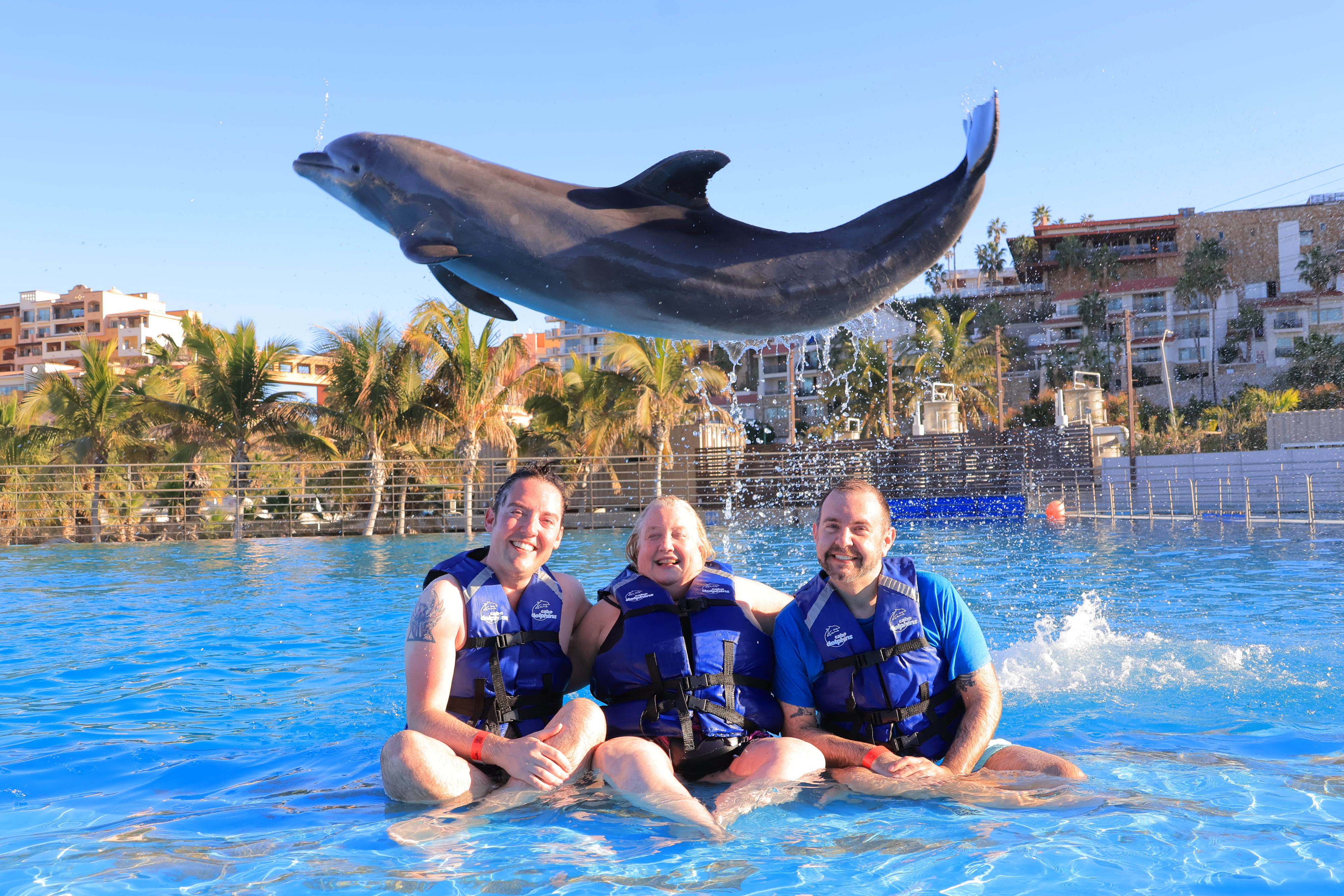 Swimming with Dolphins in Cabo San Lucas, Mexico