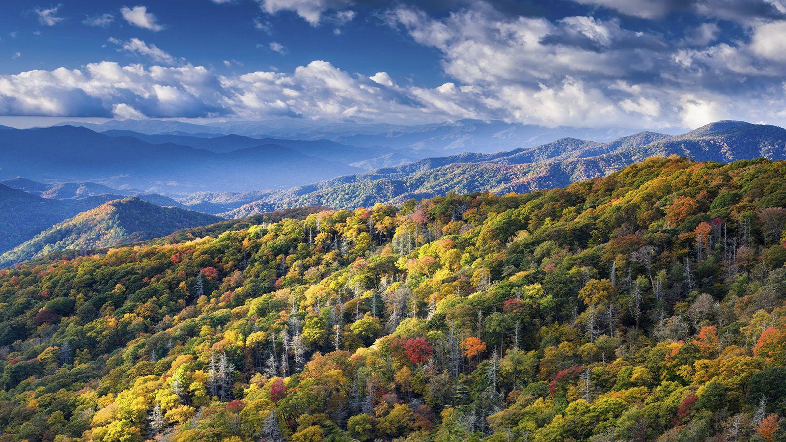 Townsend, TN